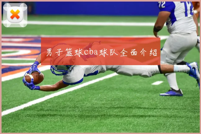 男子篮球cba球队全面介绍