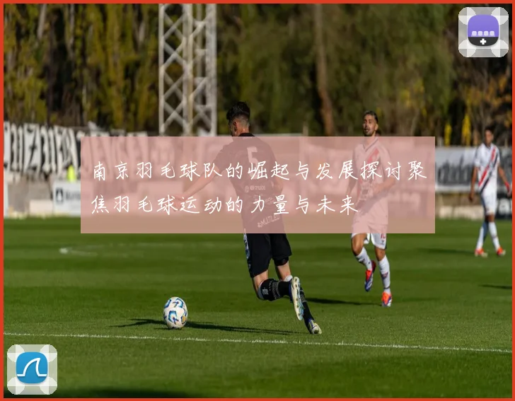 南京羽毛球队的崛起与发展探讨聚焦羽毛球运动的力量与未来