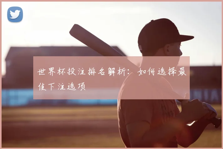 世界杯投注排名解析:如何选择最佳下注选项