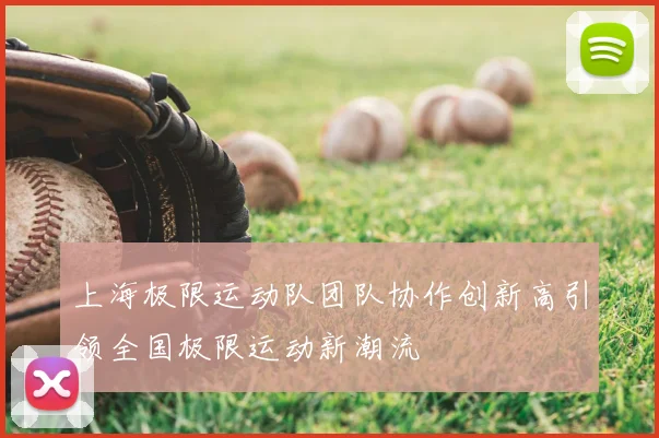 上海极限运动队团队协作创新高引领全国极限运动新潮流