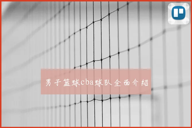 男子篮球cba球队全面介绍
