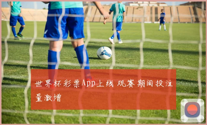 世界杯彩票App上线 观赛期间投注量激增