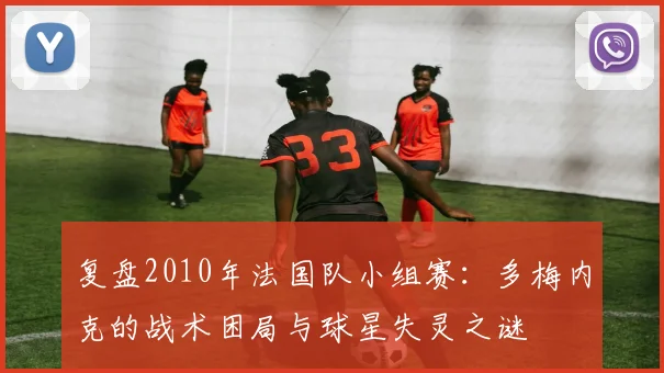 复盘2010年法国队小组赛:多梅内克的战术困局与球星失灵之谜
