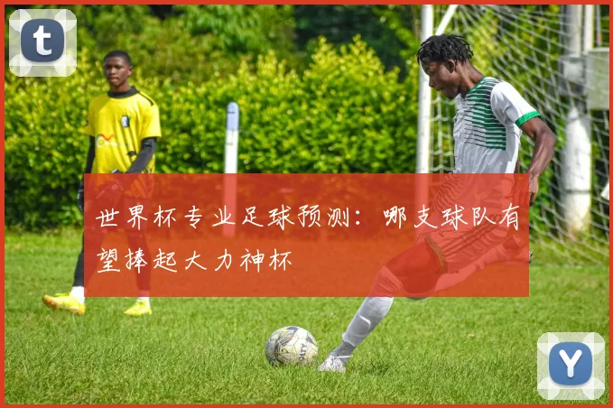 世界杯专业足球预测：哪支球队有望捧起大力神杯