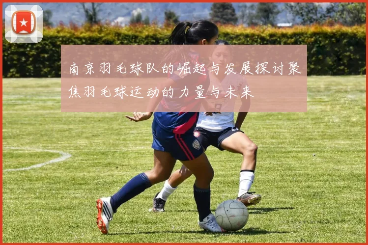 南京羽毛球队的崛起与发展探讨聚焦羽毛球运动的力量与未来