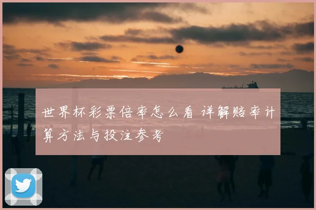世界杯彩票倍率怎么看 详解赔率计算方法与投注参考