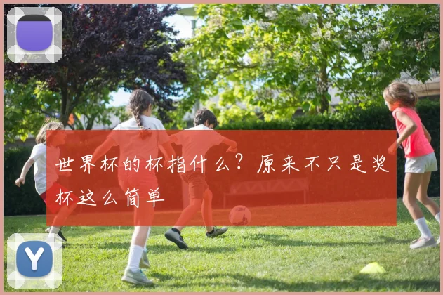 世界杯的杯指什么？原来不只是奖杯这么简单