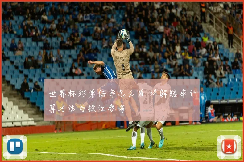 世界杯彩票倍率怎么看 详解赔率计算方法与投注参考